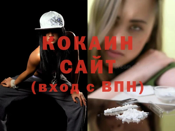 спиды Ельня