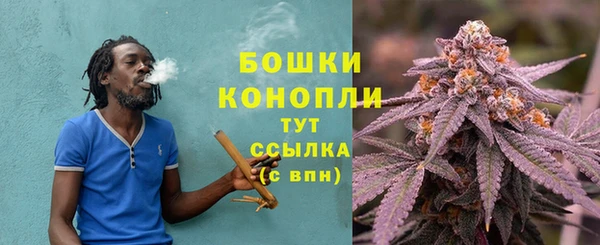 прущие крисы Осташков