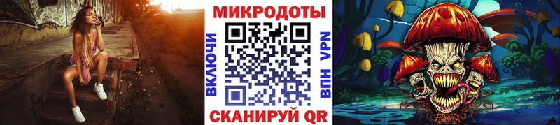 Псилоцибиновые грибы Psilocybe  Кинешма 