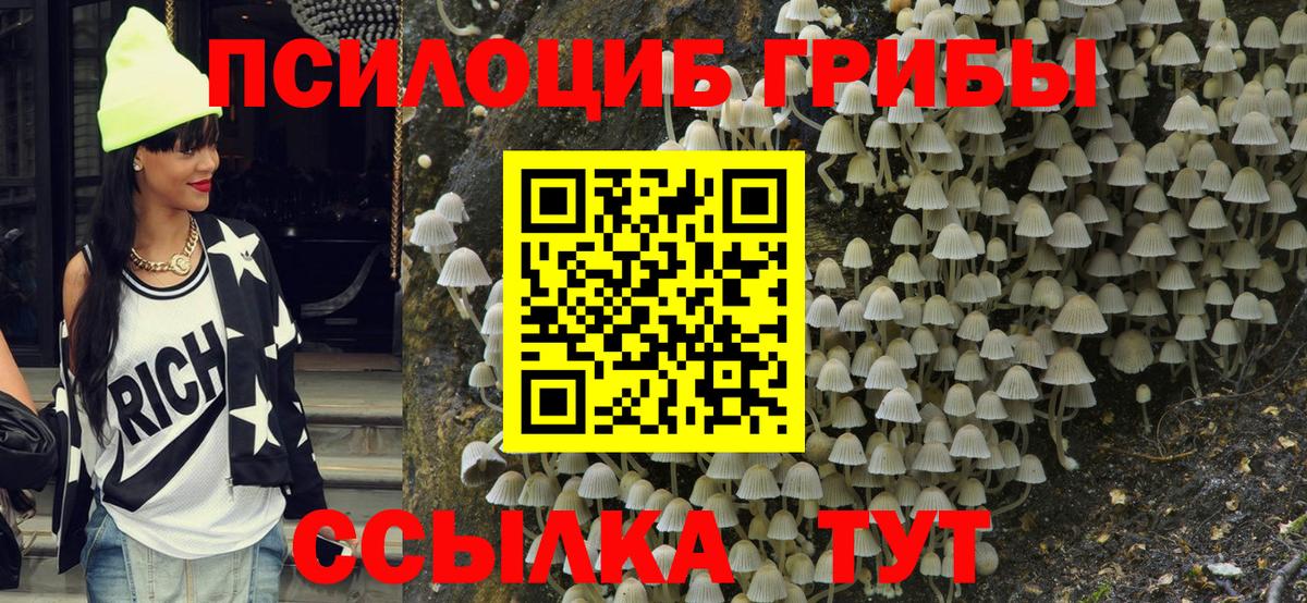 Псилоцибиновые грибы Кинешма