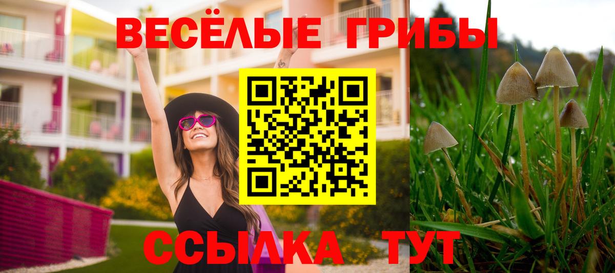 Кинешма  Псилоцибиновые грибы GOLDEN TEACHER  Вход с VPN 