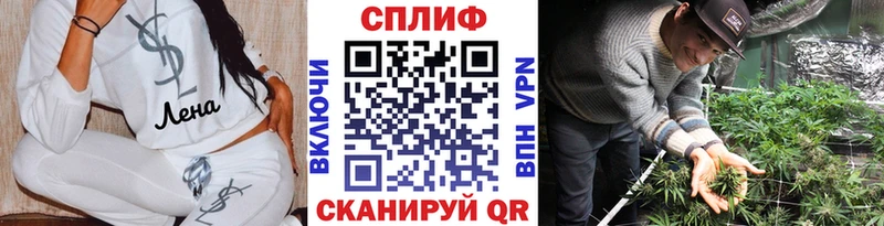 купить  цена  Кинешма  Каннабис Amnesia 